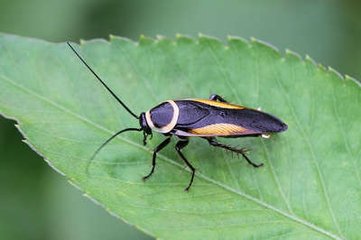 t01ddc80c3f349bb699.jpg t01ddc80c3f349bb699.jpg