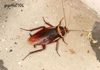 t012b789b2bca8dc7c2.jpg t012b789b2bca8dc7c2.jpg