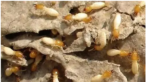 QQ��ͼ20160318152501.png QQ��ͼ20160318152501.png