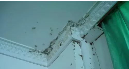 QQ��ͼ20160318152513.png QQ��ͼ20160318152513.png