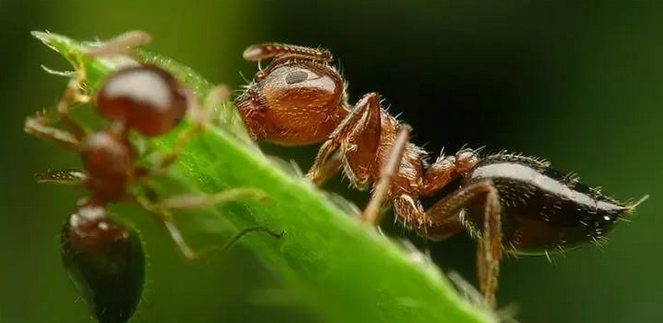 QQ��ͼ20160321092029.png QQ��ͼ20160321092029.png