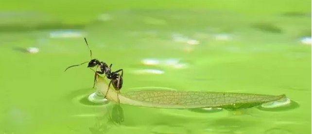 QQ��ͼ20160321093756.png QQ��ͼ20160321093756.png